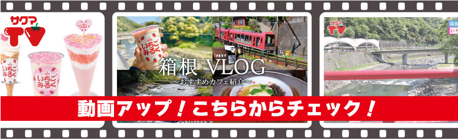 【箱根VLOG】いちごみるくコラボメニュー紹介🍓